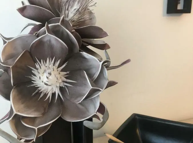 Pikk 6 Appartement *